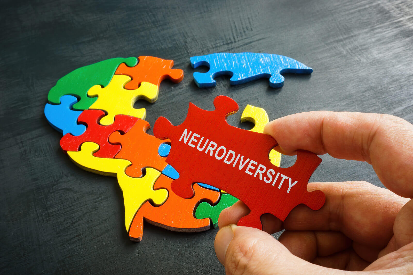 A close up of a person holding part of a puzzle piece in the shape of a brain that reads "neurodiversity". Learn more about therapy for teens in American Fork, UT and the help that a teen therapist near me can offer. Search for "therapy for depression near me" to learn more.