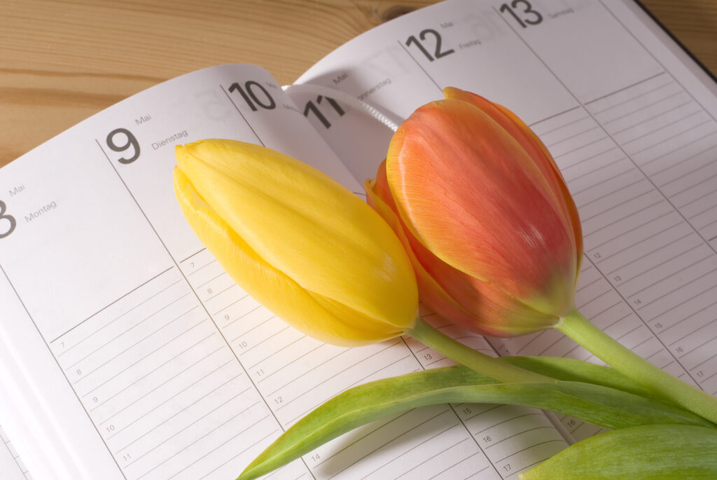 A close up of flowers on a calendar opened to mothers day. Learn how depression counseling in American Fork, UT can help you address past trauma by searching for anxiety treatment in American Fork, UT. Contact a depression therapist in American Fork, UT for support.
